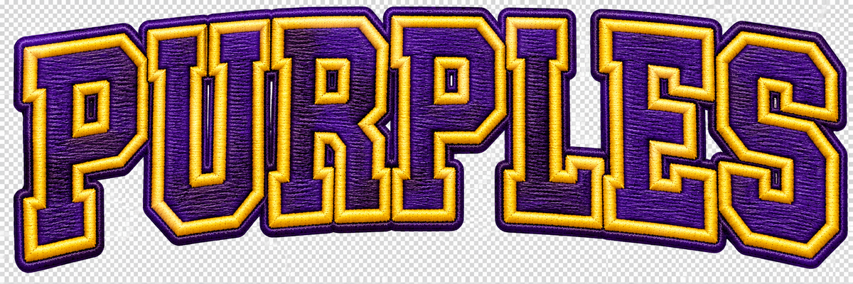 SWEATSHIRT BLANKET (PURPLES) Faux Embroidery
